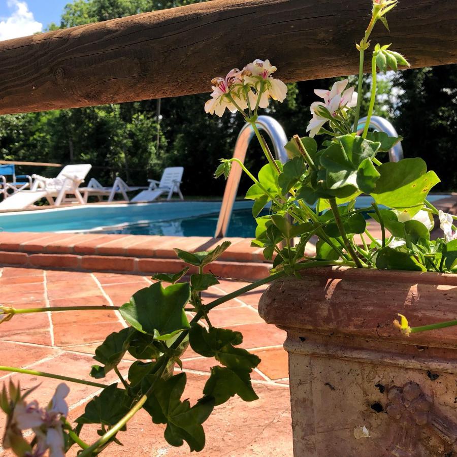 Villa Magda Todi Exteriör bild